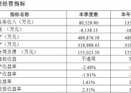 综合成本率超300%！比亚迪财险开业首年保费劲增13亿 全年亏损约1.7亿 精简高管团队携手如何破局？