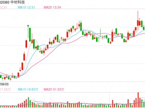 中材科技：预计2024年净利润同比下降57.26%~71.48%