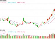 快讯：恒指低开1.43% 科指跌2.45% 比亚迪股份跌超7%