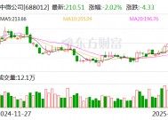 中微公司：2024年净利润16.26亿元 同比下降8.93%