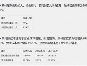 广汇能源巨额资金为何被占用 母弱子强下大股东掏空行为