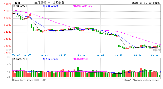 生猪：2024年12月生猪销售数据解读