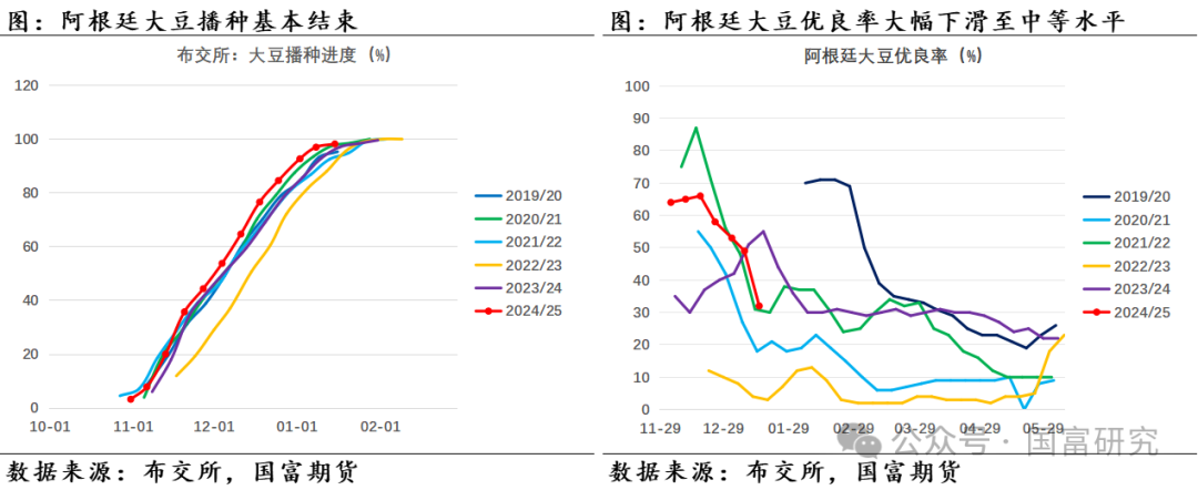 【USDA】1月报告：美豆单产下调超预期，南美大豆丰产压制美豆价格上行