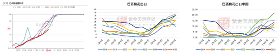 棉花：瓶颈与分歧